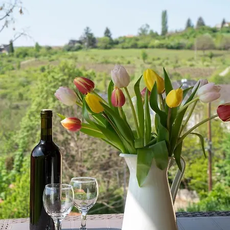 Tulipan Appartamento