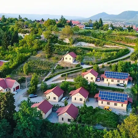 Tulipan Apartament *